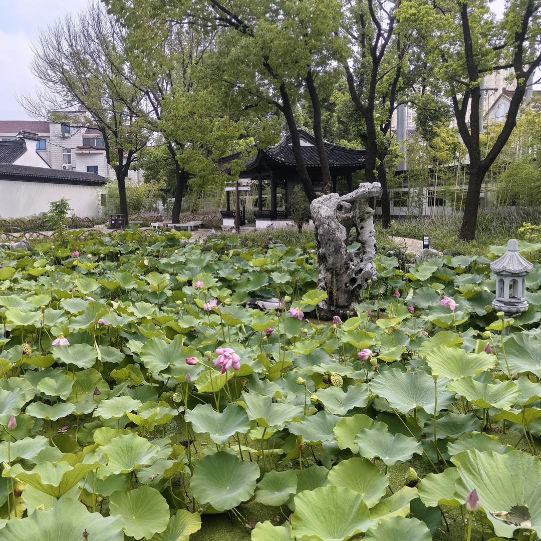 天一