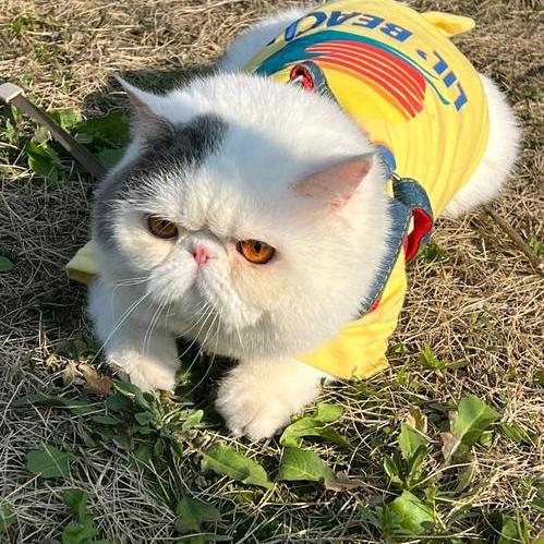 驰铭百货