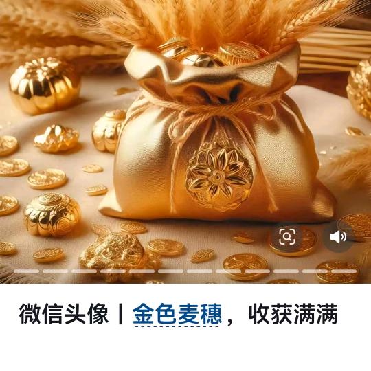 好达尔