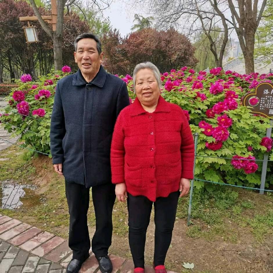 心灵手巧。6