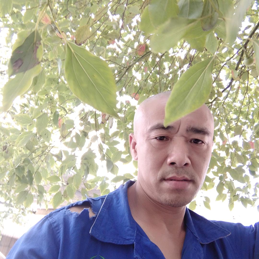陈永忠