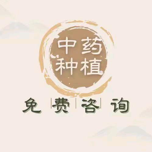 @金农菌业