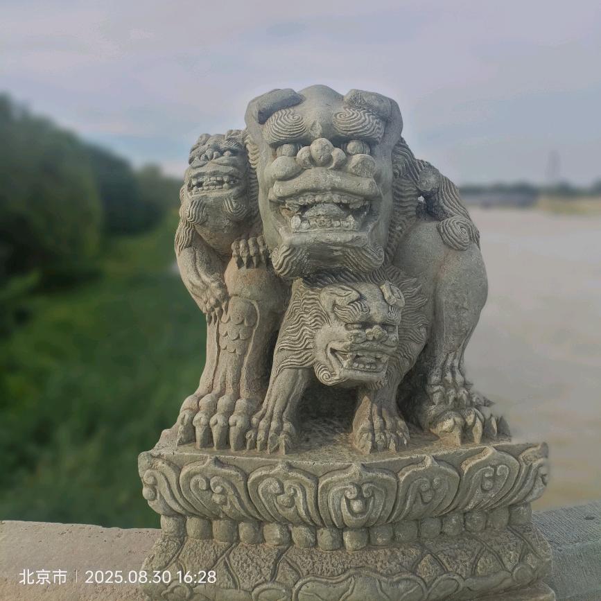 云深忘途