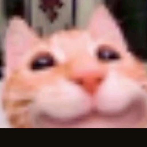 好玩爱玩。