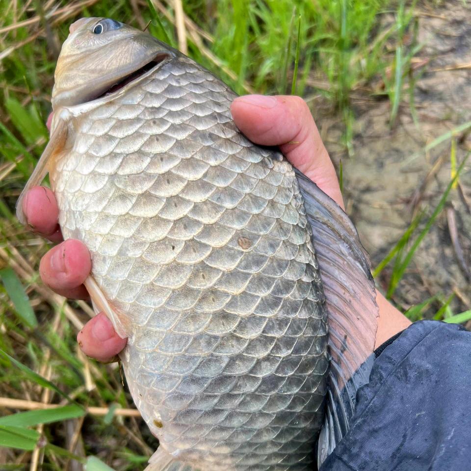 阳光户外