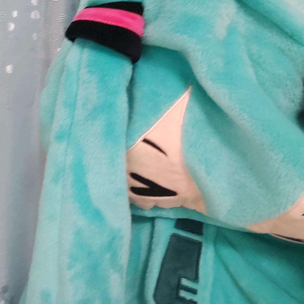 宿.