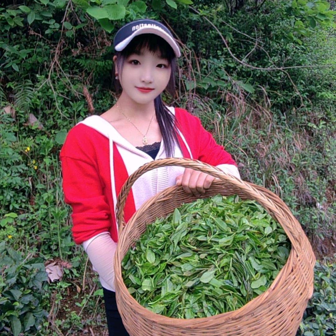 琴丫头（山货铺）