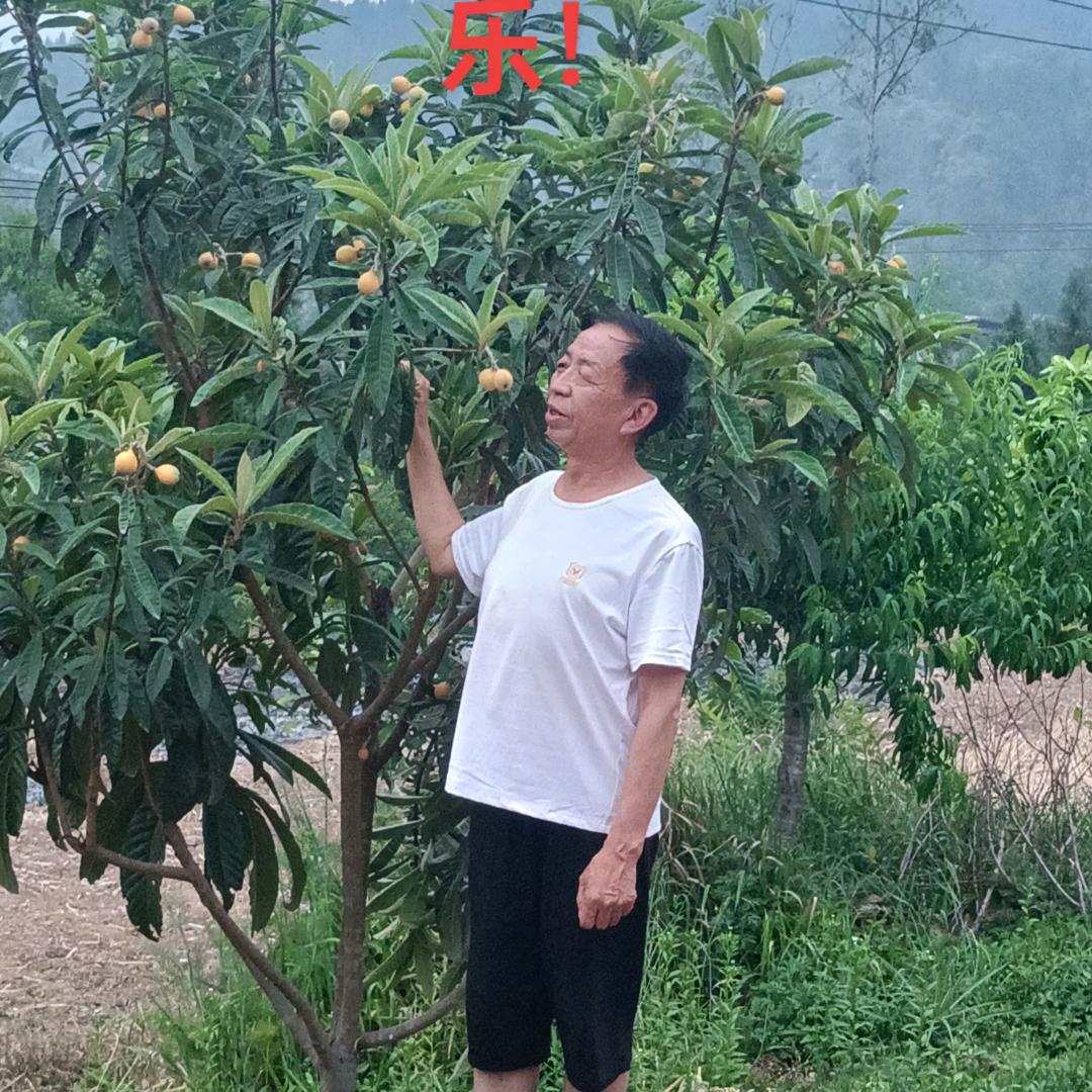 一衣带水