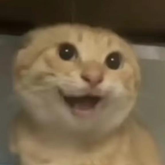 羽