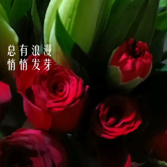 梅姐