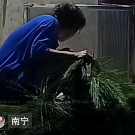 幽幽深❤️