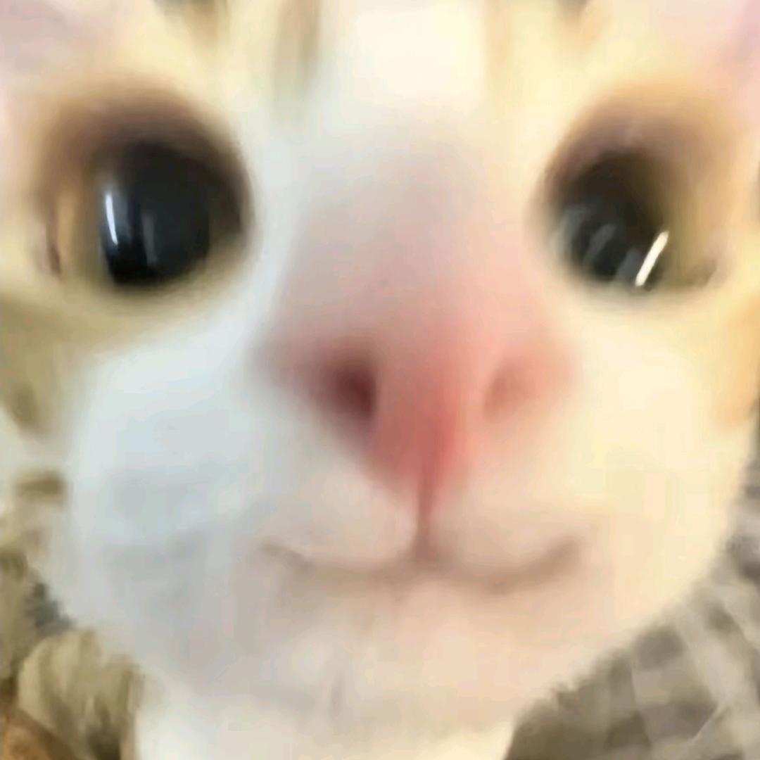 哈基碎（逆水寒手游）