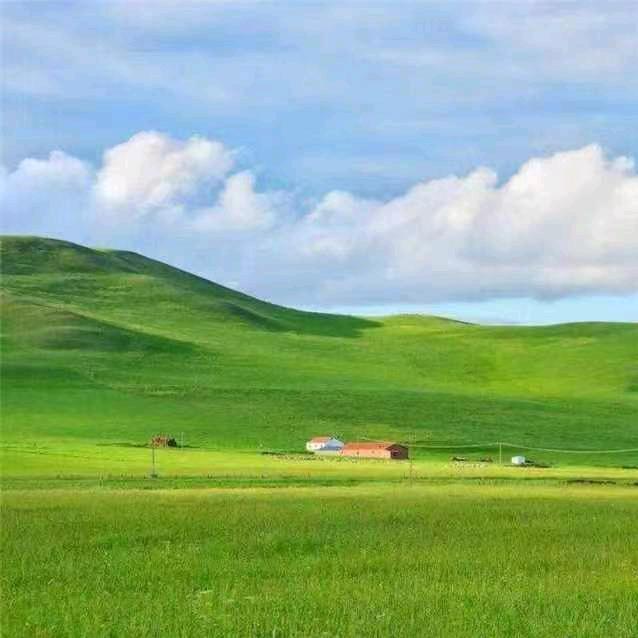 杨大贵
