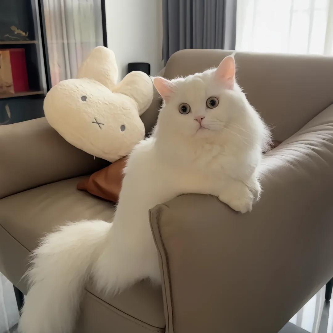 忘记过往