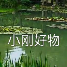 小刚好物