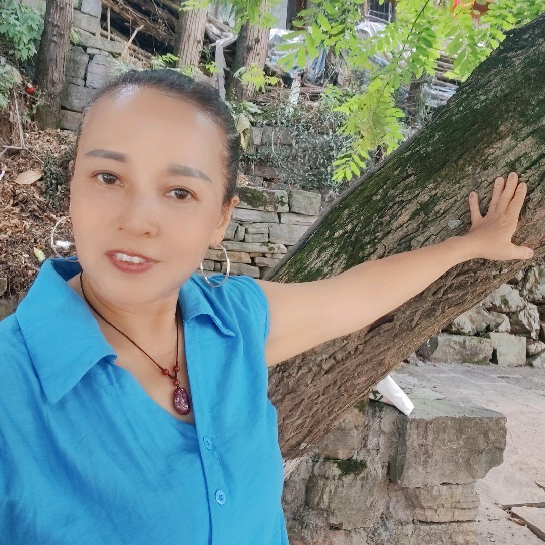 杨姐