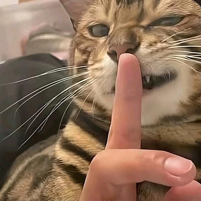 小漆