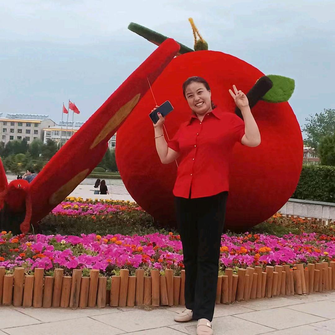 王海红