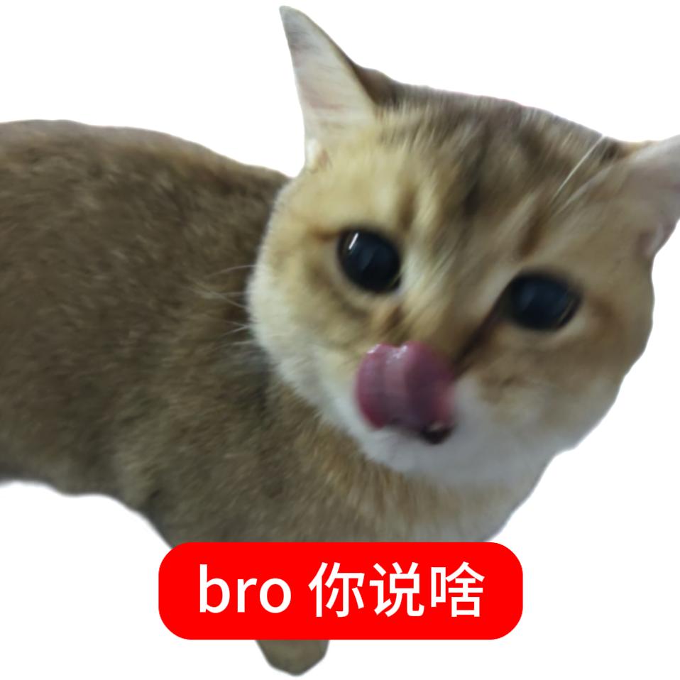 Yyy