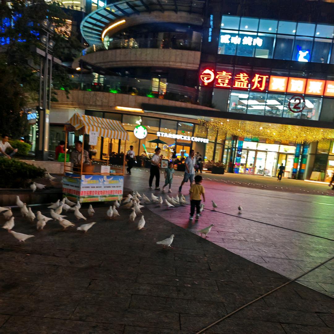 彝🦌有你