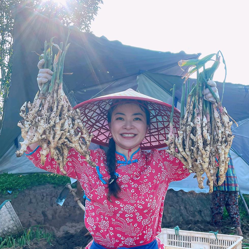 客佳人阿May