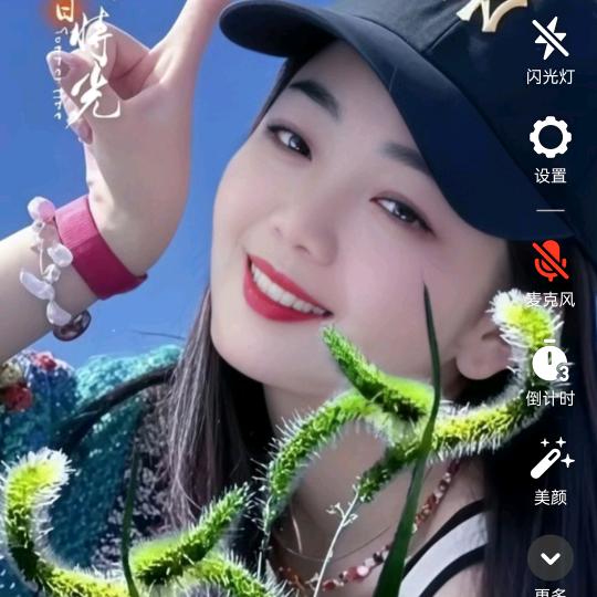 冰住的心