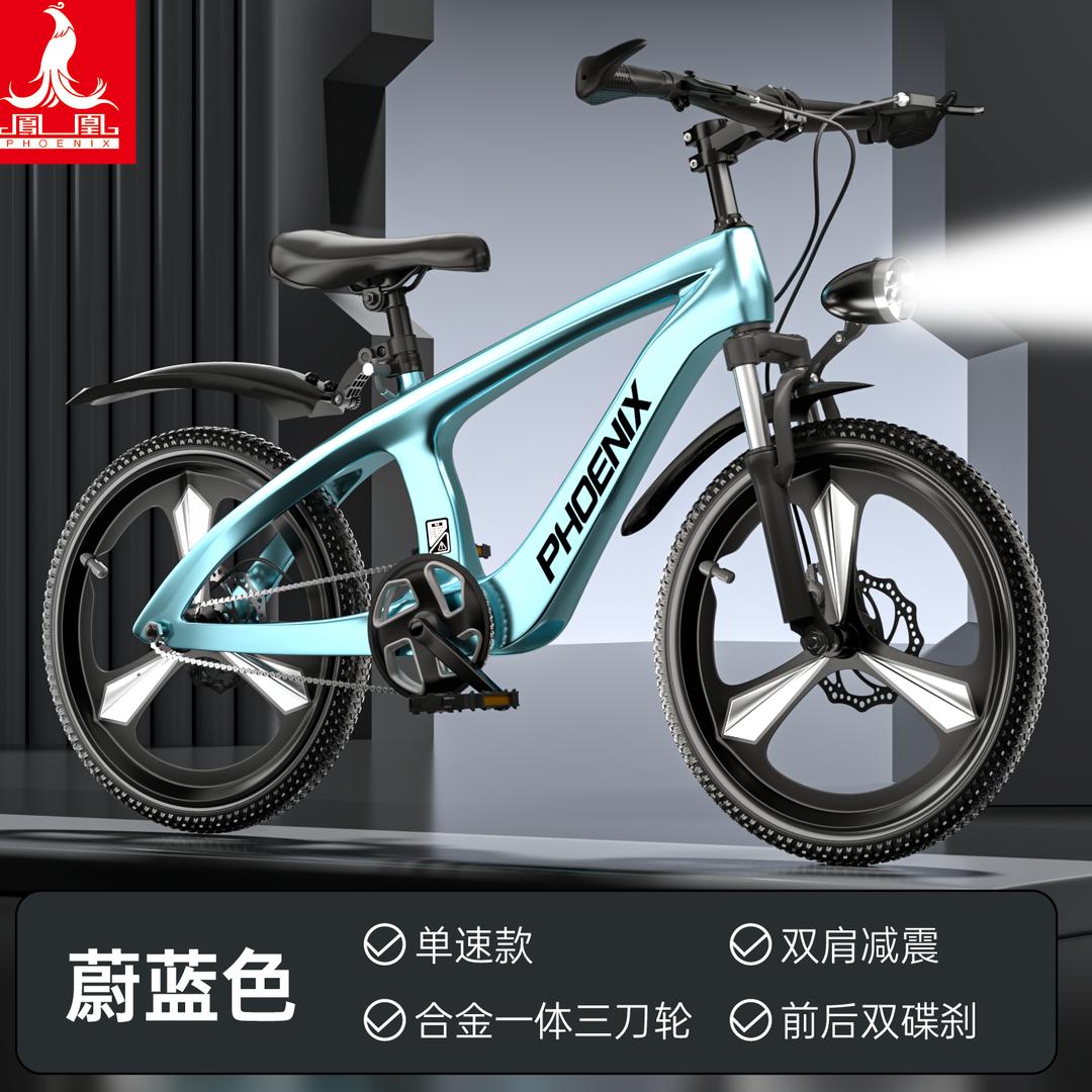 镁合金精品自行车