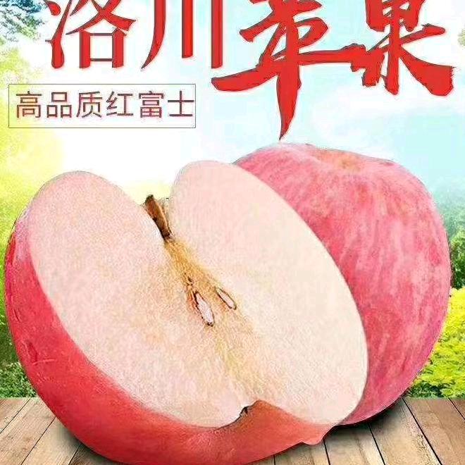 陕西苹果哥
