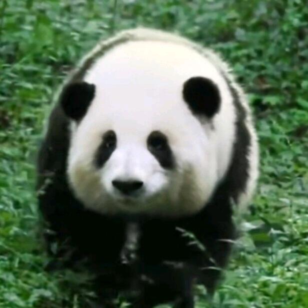玉帝与汝有灵犀