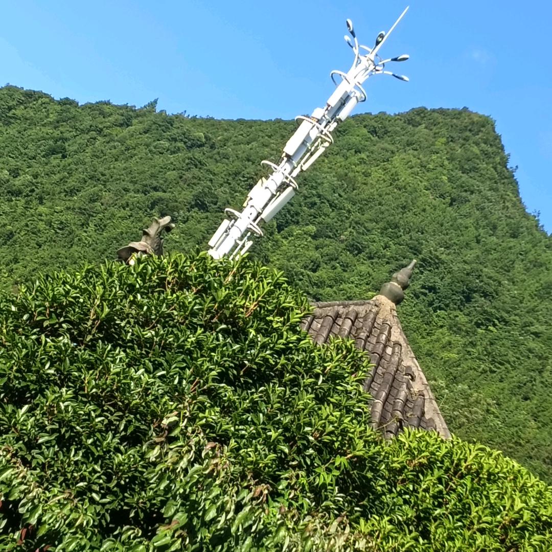 单身余哥