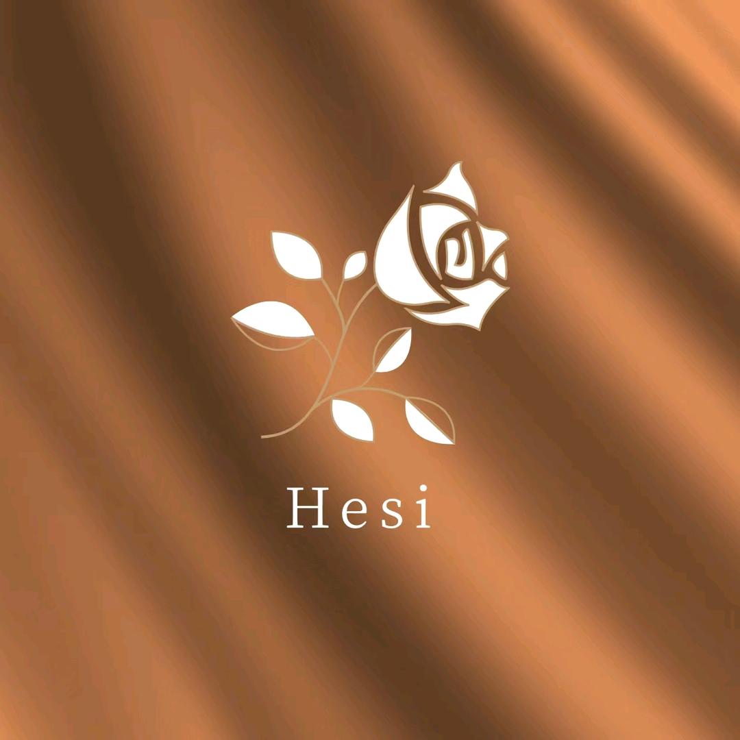Hesi河西外贸