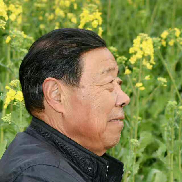 顺其自然--张永云