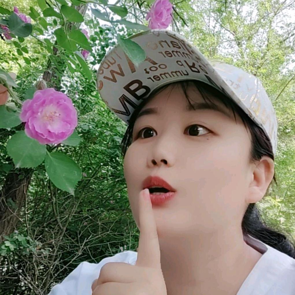 蓝莲花北漂一族