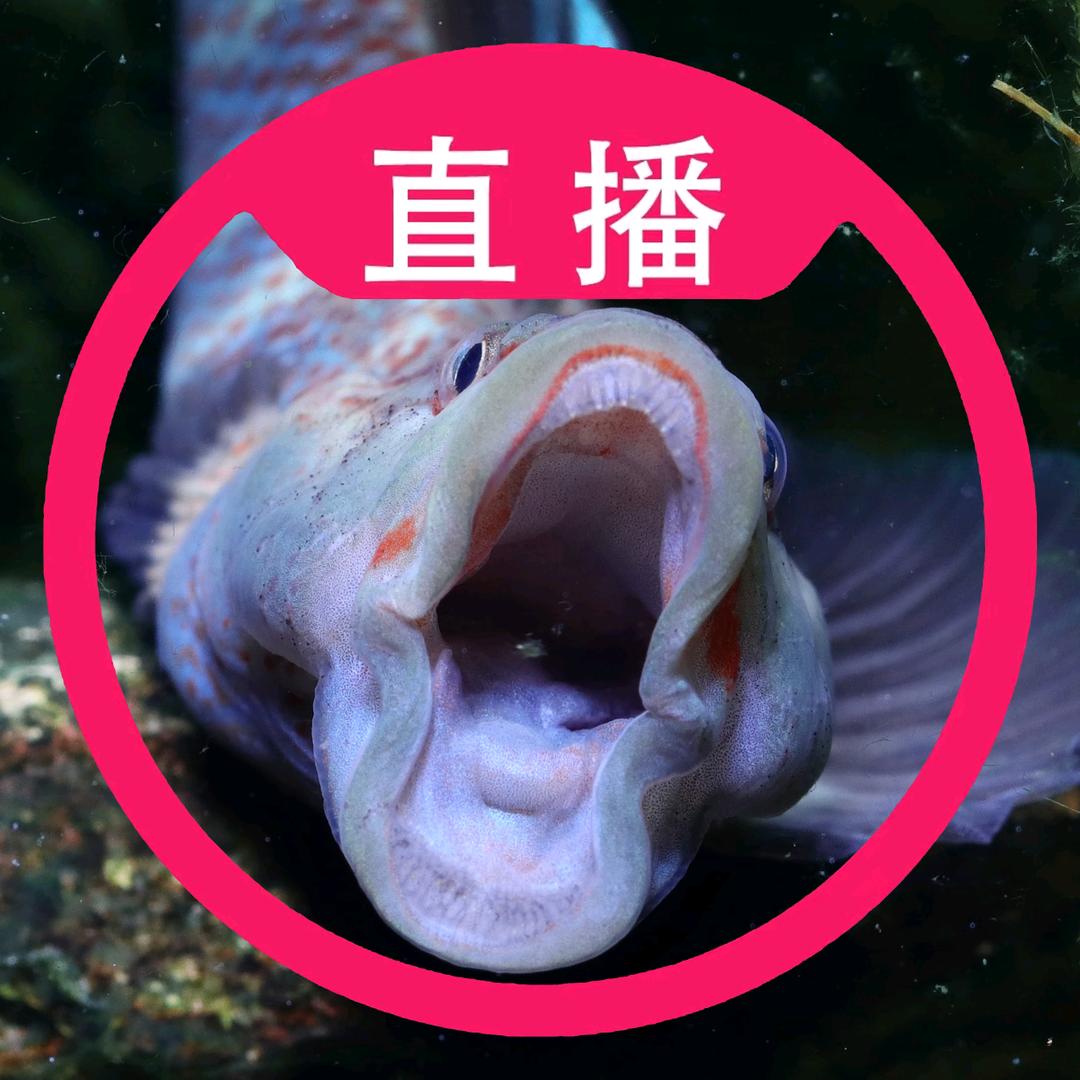浩浦