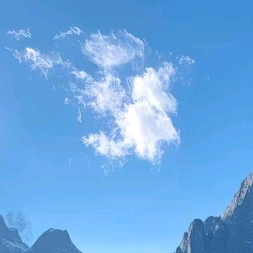 创全咨询-小刘