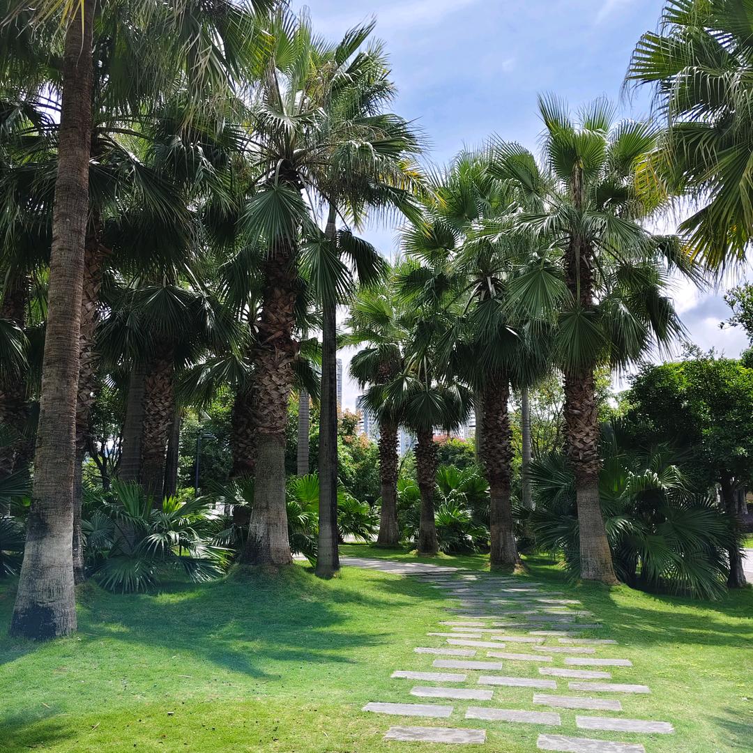 重🍀启