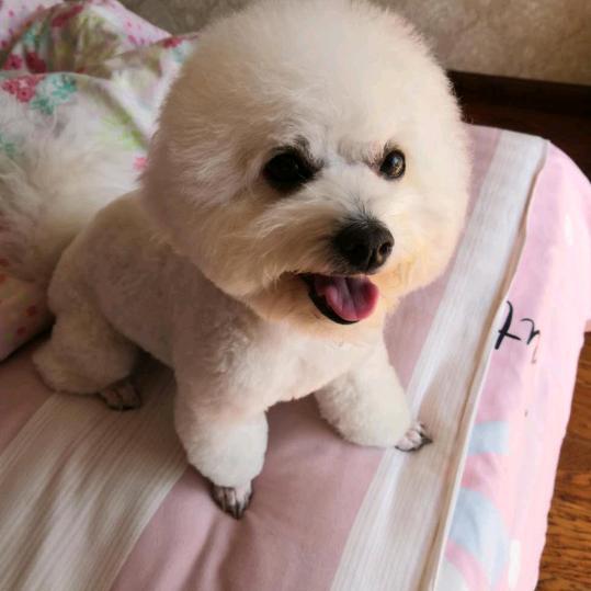 晓璐