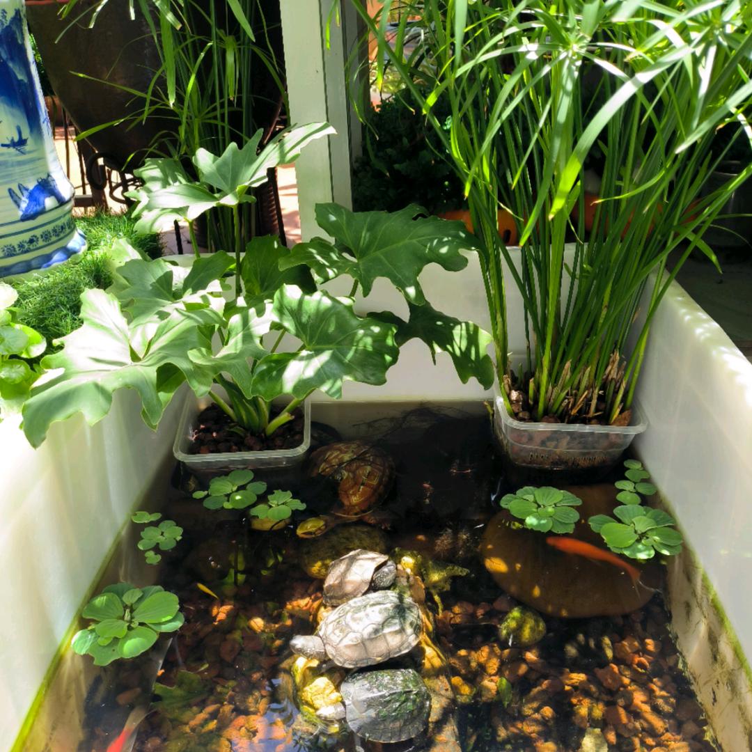 龟龟港湾
