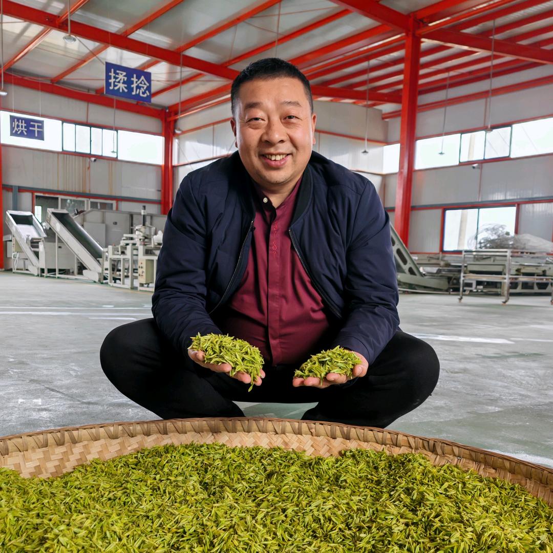 木门茶业