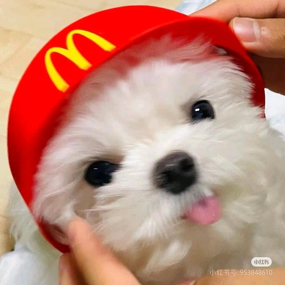 烦躁大王.