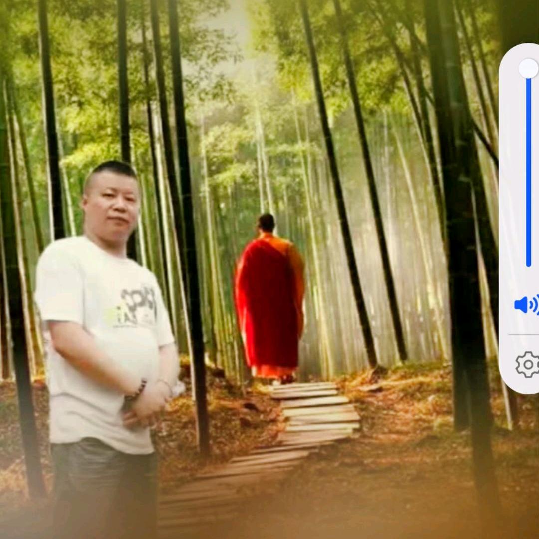 龙虎