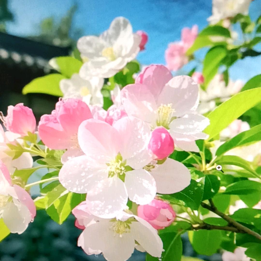 开心快乐。