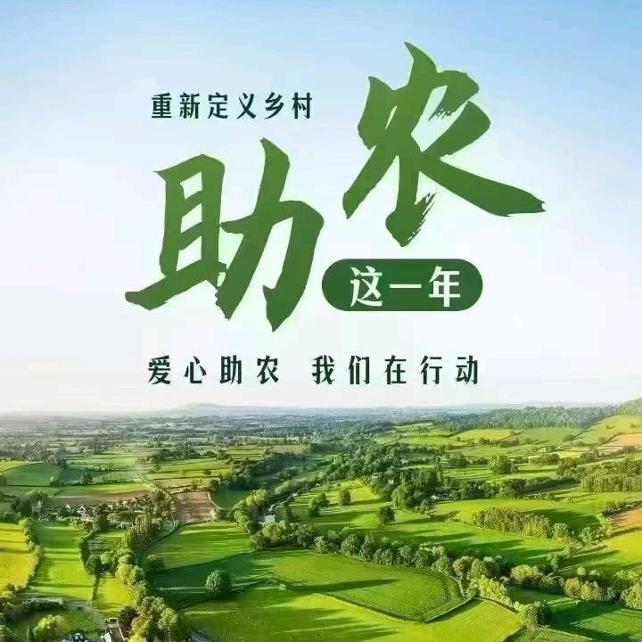 中医农业