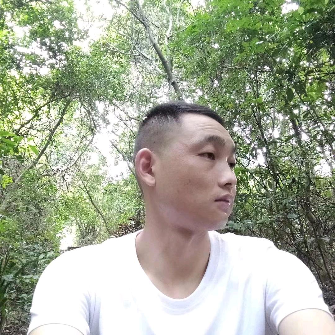 齐乐