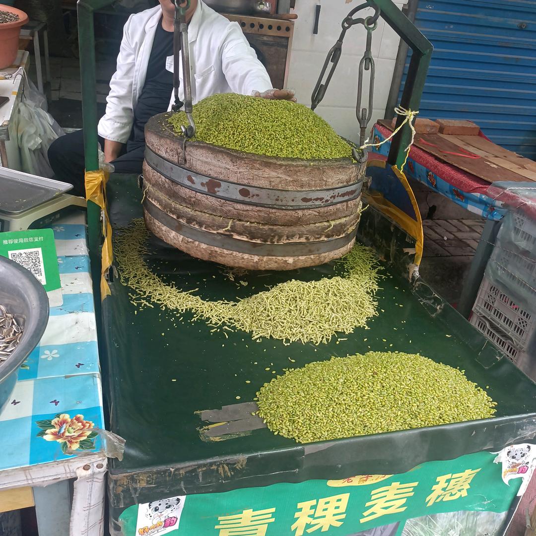什么都要靠自己