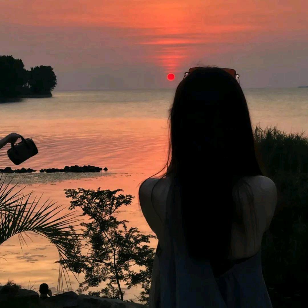 盲鱼.