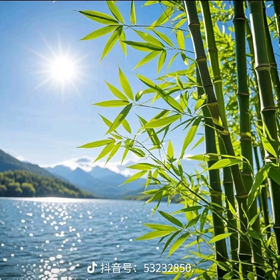 观山听海