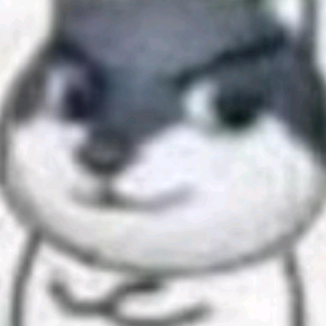 YG