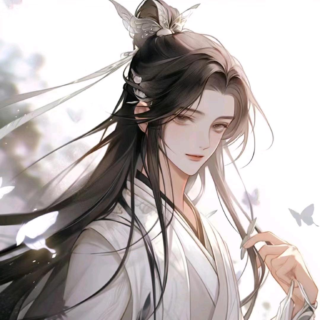像风如我