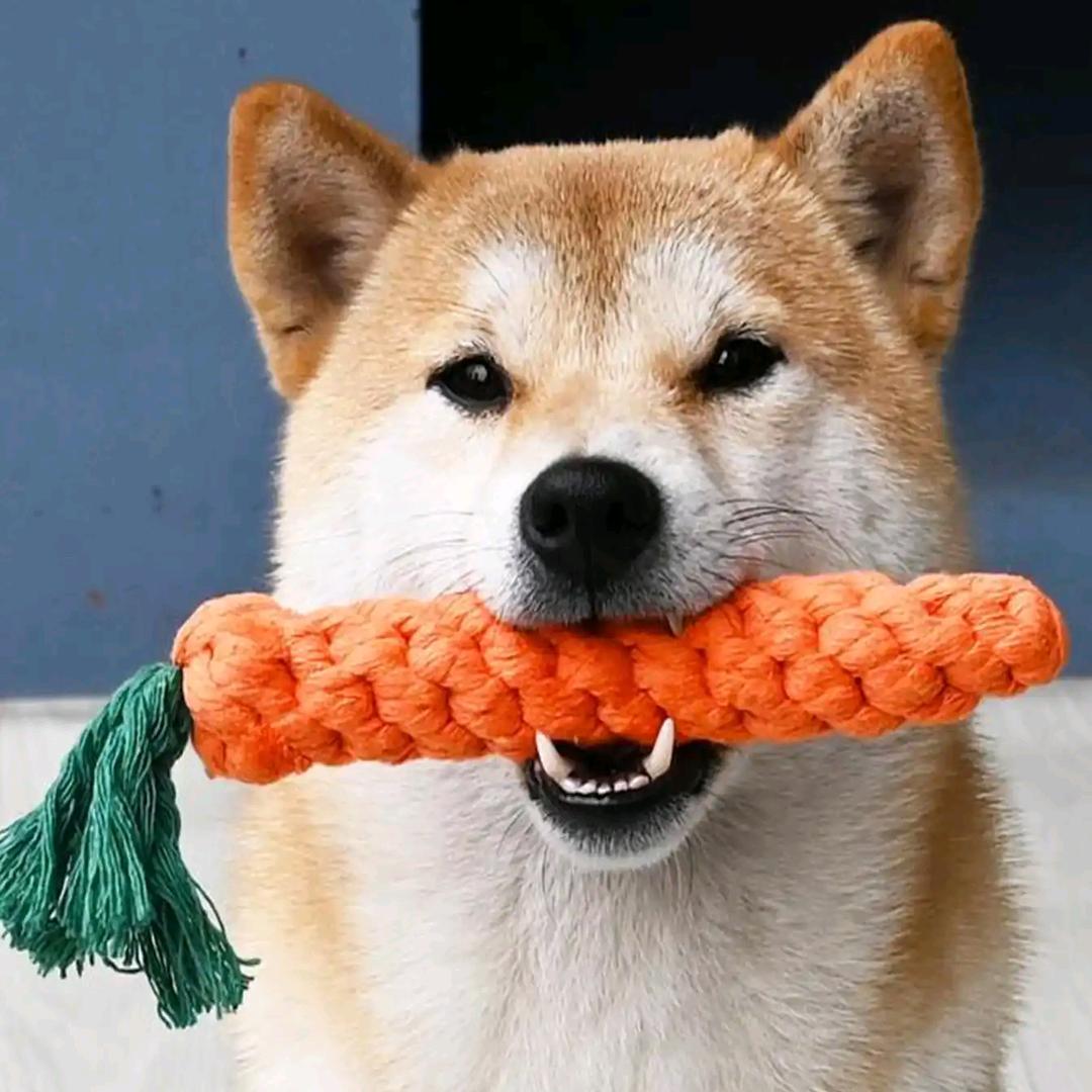 二憨憨